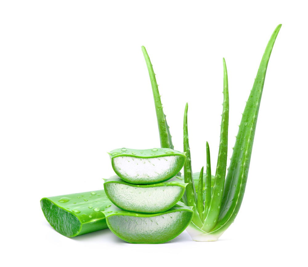 Why Aloe Vera is Important for Skin Health