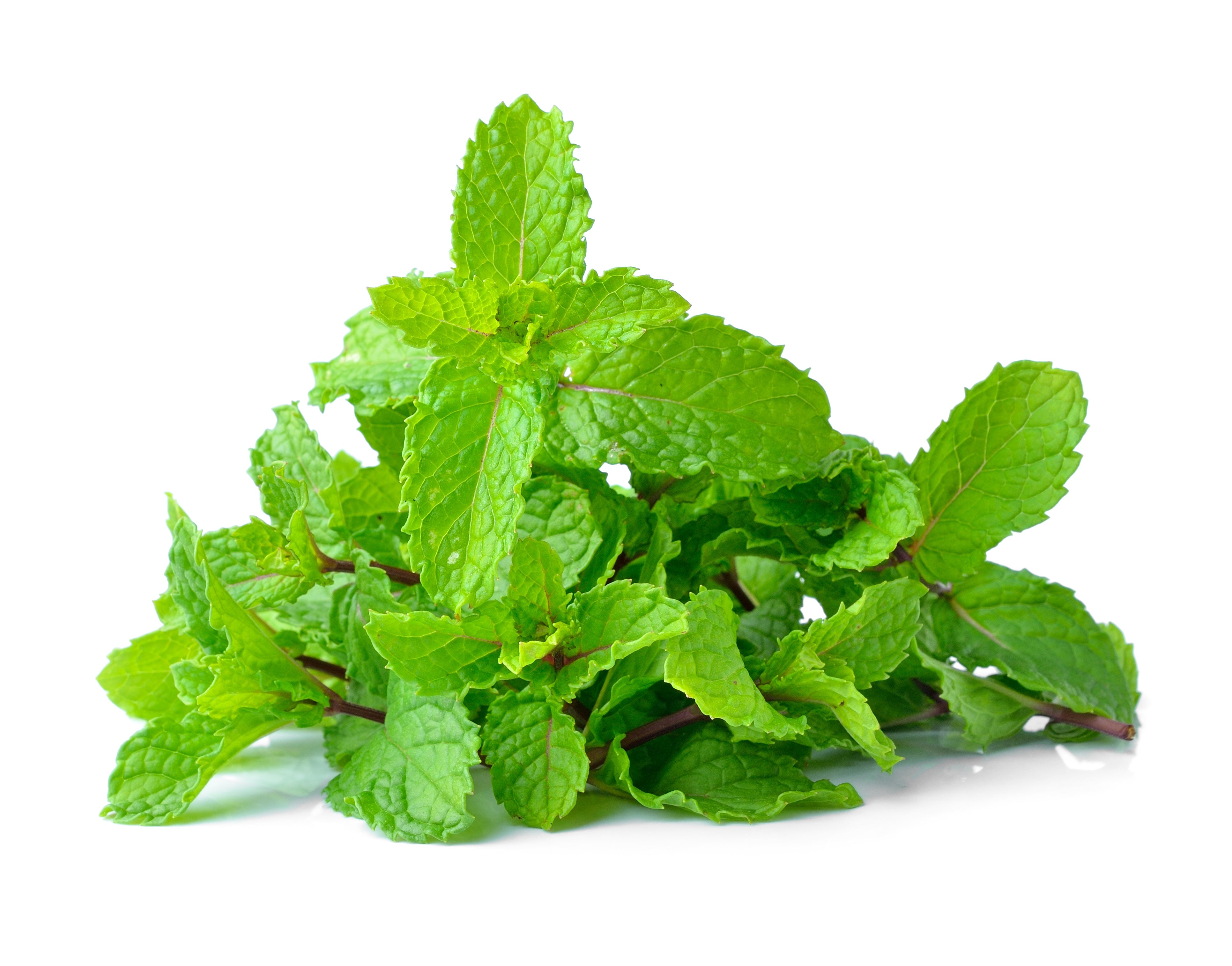 Peppermint Perfection: Unveiling the Beauty Benefits in Skincare